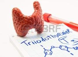 Тиреоїдна панель і розшифровка результатів дослідження функції щитовидки
