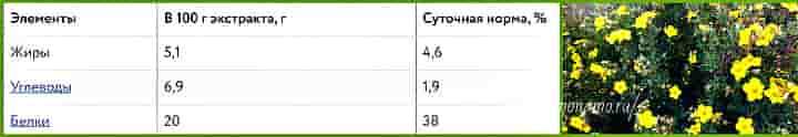 Курильський чай - чагарник з антибіотичними природними властивостями