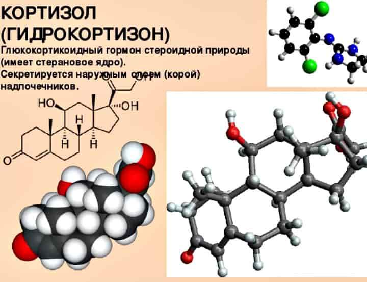 Кортизол або гормон стресу, вплив на здоров'я людини