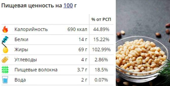 Кедрові горіхи - користь і шкода для організму