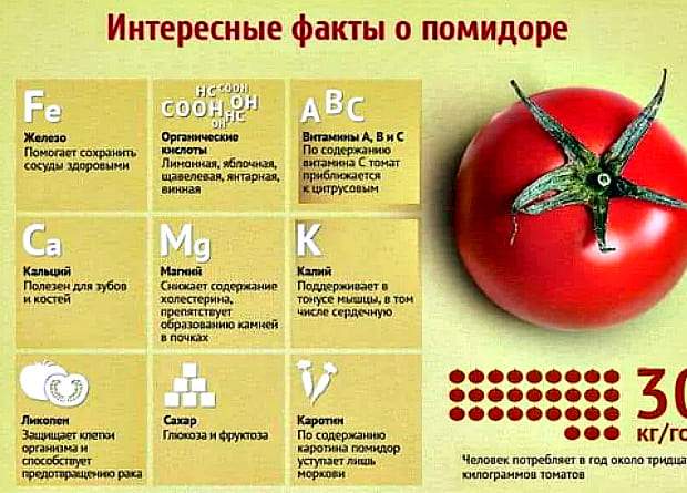 Помідори: користь і шкода для організму людини