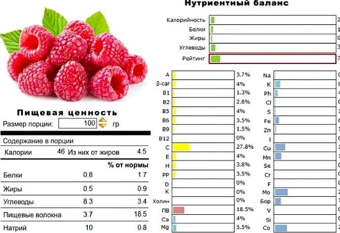 Ягоди малини - джерело вітамінів, мікроелементів, цінних цукрів