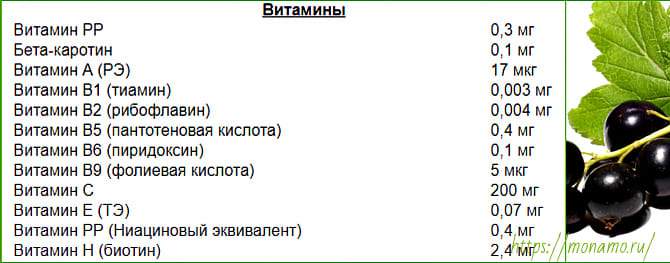 Ягоди чорної смородини невичерпний запас молодості і здоров'я