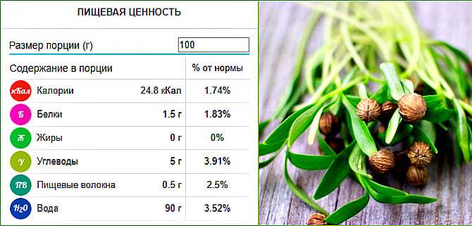 Коріандр або кінза - цілюща пряність з сильним очищує ефектом