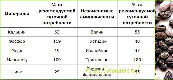 Насіння Чіа - суперпродукт племені ацтеків, корисні властивості і протипоказання