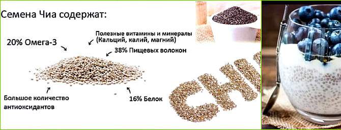 Насіння Чіа - суперпродукт племені ацтеків, корисні властивості і протипоказання