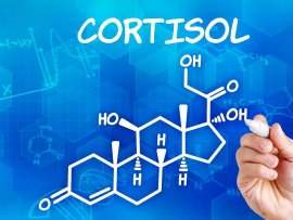 Що це таке кортизол: все про гормон стресу