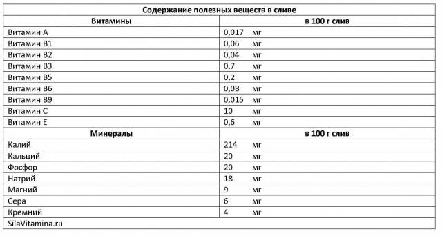 Як правильно заморозити сливу в морозильній камері