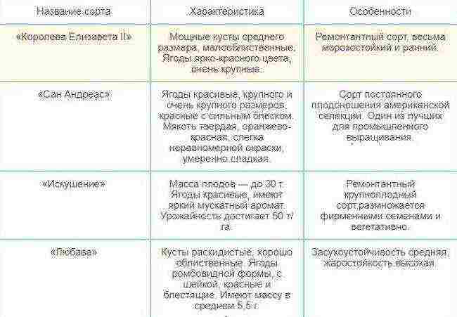 Полуниця на підвіконні: вирощування цілий рік, покрокове керівництво, особливості посадки та догляду, боротьба з хворобами, терміни збирання врожаю