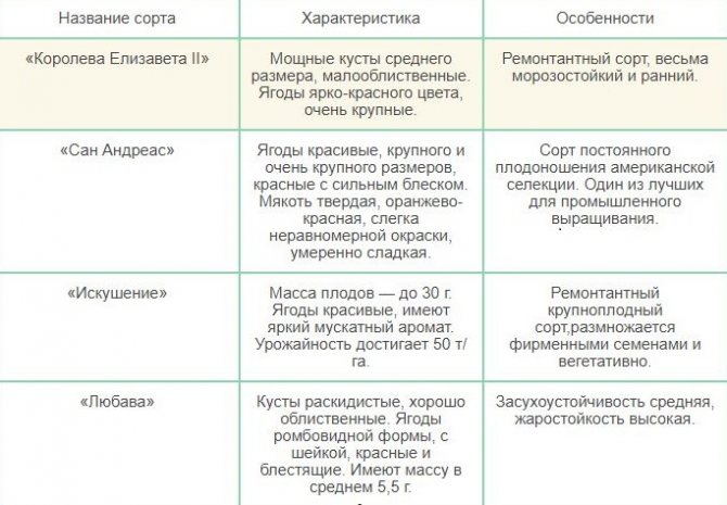 Полуниця на підвіконні: вирощування цілий рік, покрокове керівництво, особливості посадки та догляду, боротьба з хворобами, терміни збирання врожаю