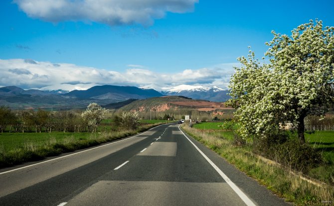 Іспанська хамон. Що це, фото, види м'яса, як роблять, зберігають, рецепт приготування