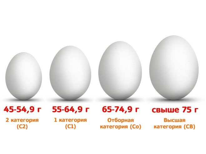 Розбираємося, з якого віку дитині можна давати яйце