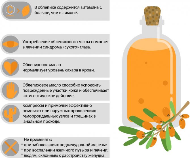 Як приготувати масло обліпихи в домашніх умовах? Способи приготування обліпихової олії будинку