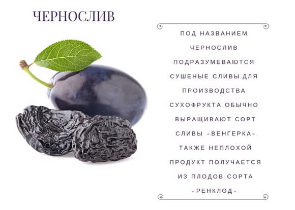 Чорнослив: корисні властивості та протипоказання, з чого роблять, склад