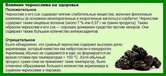 Чорнослив: корисні властивості та протипоказання, з чого роблять, склад