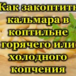 Кальмар гарячого, холодного копчення: калорійність і користь, рецепти з фото