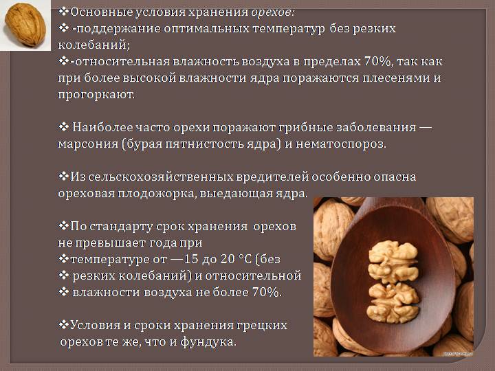 Бразильський горіх: корисні властивості та протипоказання