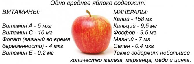 Як правильно сушити яблука: на сонці або в тіні?