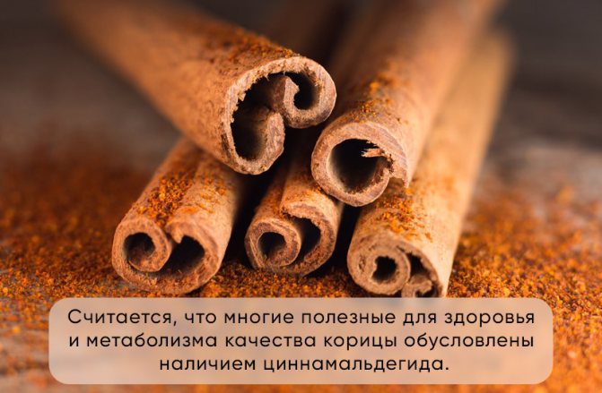 Справжня кориця: чим відрізняється від кассии і як вибрати якісну пряність