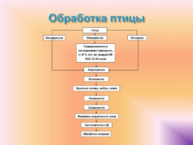 М'ясо птиці механічної обвалки - що це? ГОСТ м'яса птиці механічної обвалки