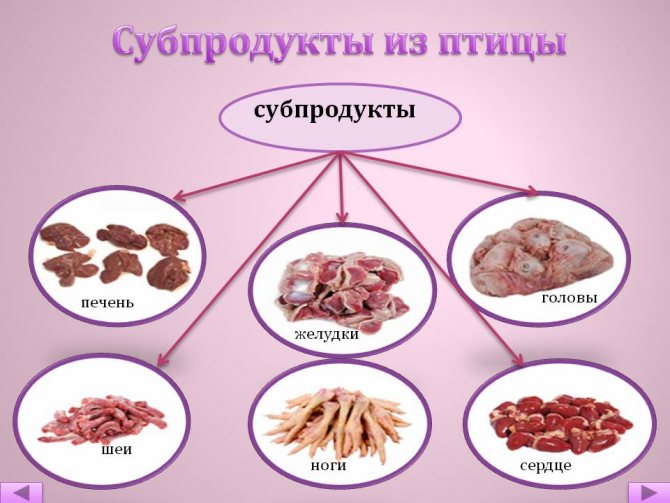 М'ясо птиці механічної обвалки - що це? ГОСТ м'яса птиці механічної обвалки