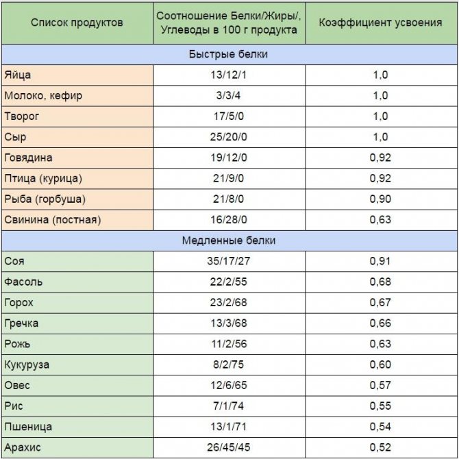 Топ 10 найкорисніших джерел білка