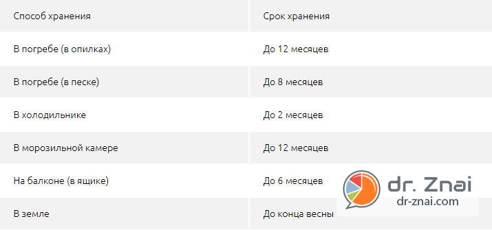 Детально про те, як зберігати моркву в погребі взимку в мішках з-під цукру