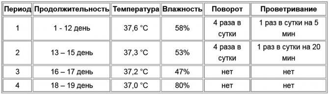 З чого почати розведення перепелів або основні правила успішної інкубації перепелиних яєць