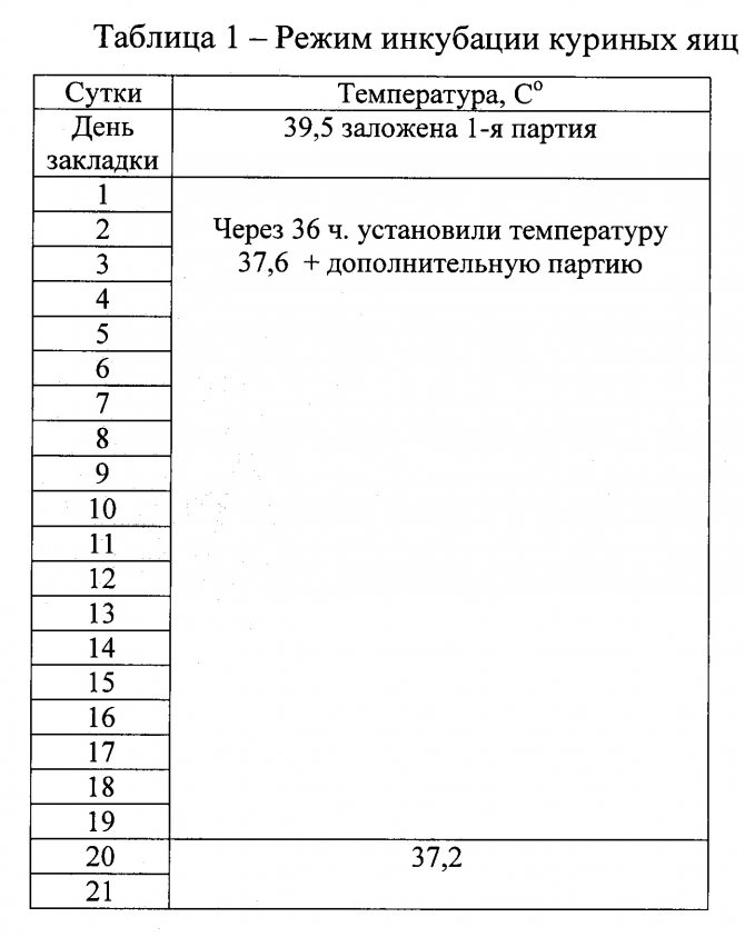 З чого почати розведення перепелів або основні правила успішної інкубації перепелиних яєць