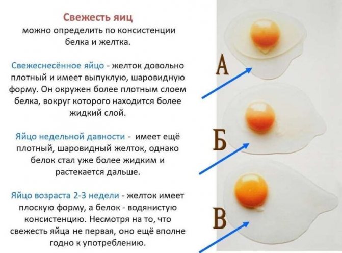 Як перевірити свіжість яєць в домашніх умовах?