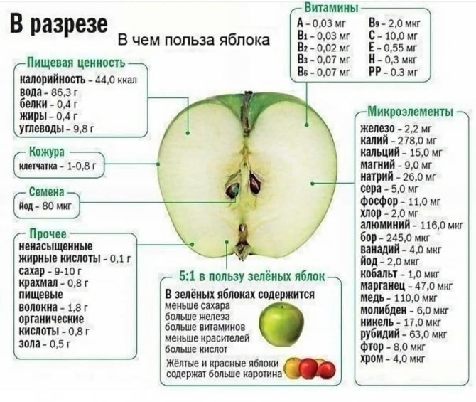 Користь і шкода вживання яблук на ніч для тих, що худнуть