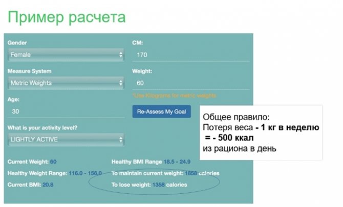 Білки в продуктах: огляд продуктів з найбільшим вмістом білка, користь і шкода