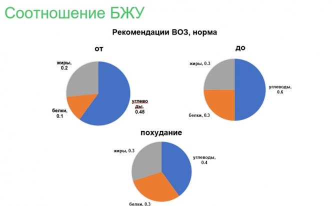 Білки в продуктах: огляд продуктів з найбільшим вмістом білка, користь і шкода