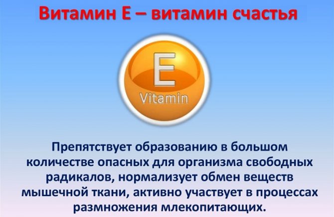 Користь вітаміну Е для чоловіків і добове дозування