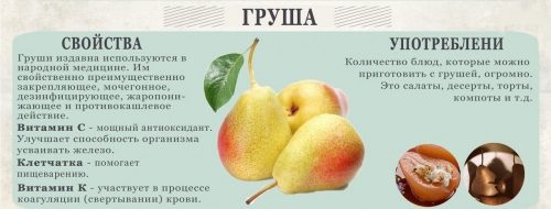 Яблука та груші при схудненні: кращі друзі або найлютіші вороги