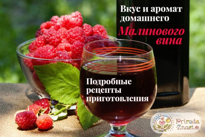 Чим корисно вино з яблук в домашніх умовах