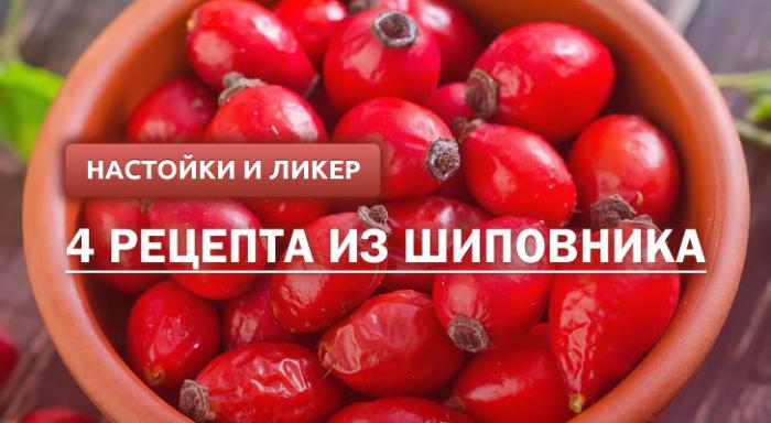 Настоянка з шипшини на самогоні: користь і шкода, підготовка інгредієнтів