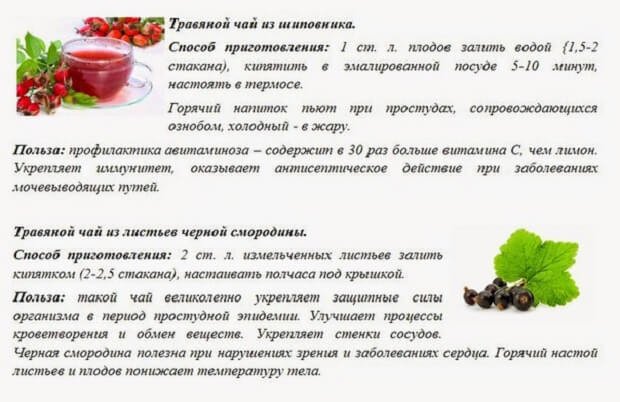 Настоянка з шипшини на самогоні: користь і шкода, підготовка інгредієнтів