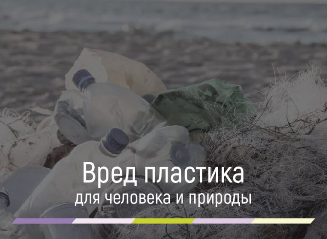 Посуд з поліпропілену користь і шкода. Посуд з поліпропілену - користь і шкода Посуд з пластмаси