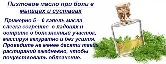 Ялицеве масло: цілющий засіб для душі і тіла з хвойного лісу