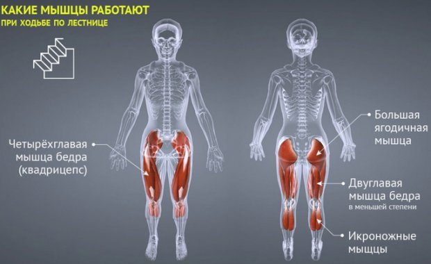 Ходьба по сходах: користь і шкода. інтерв'ю ортопеда