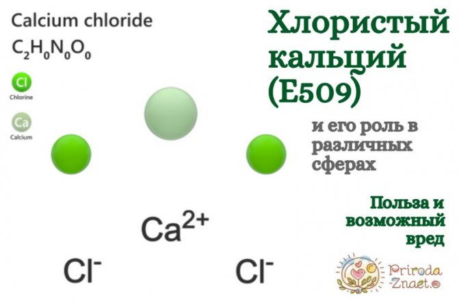 Шкода і користь харчової добавки Е509 (хлористого кальцію)