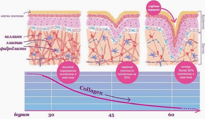 Все про коллагене - який колаген краще, як приймати