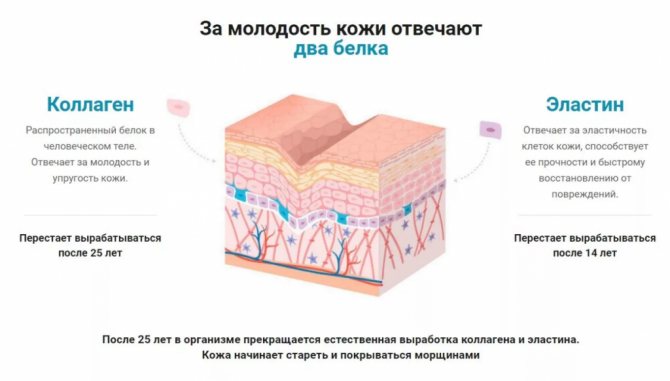 Все про коллагене - який колаген краще, як приймати