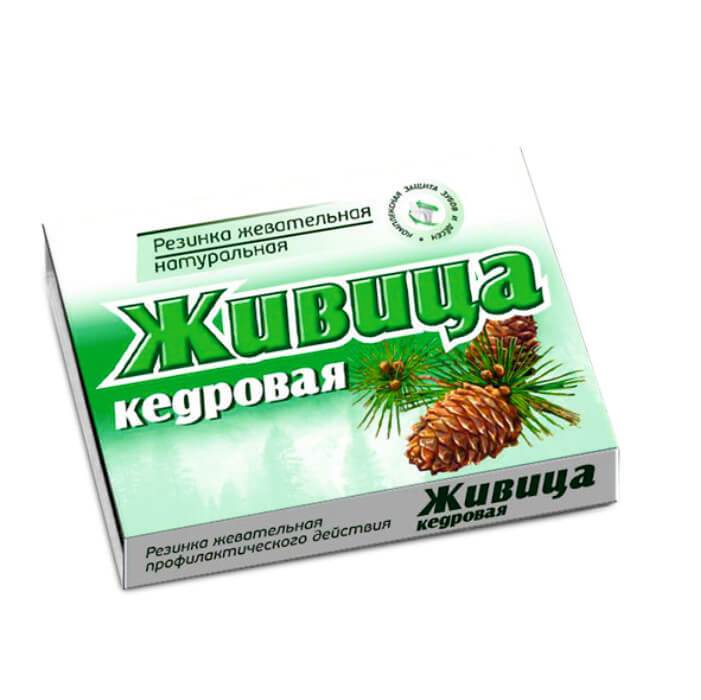 Лікувальні властивості і протипоказання живиці кедрової