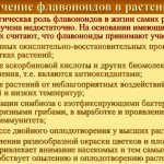 Рослинні флавоноїди - навіщо потрібні і в чому містяться