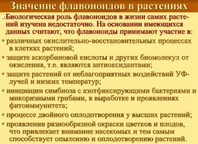 Рослинні флавоноїди - навіщо потрібні і в чому містяться