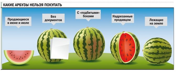 Кавун на сторожі чоловічої сили: чим він корисний для організму