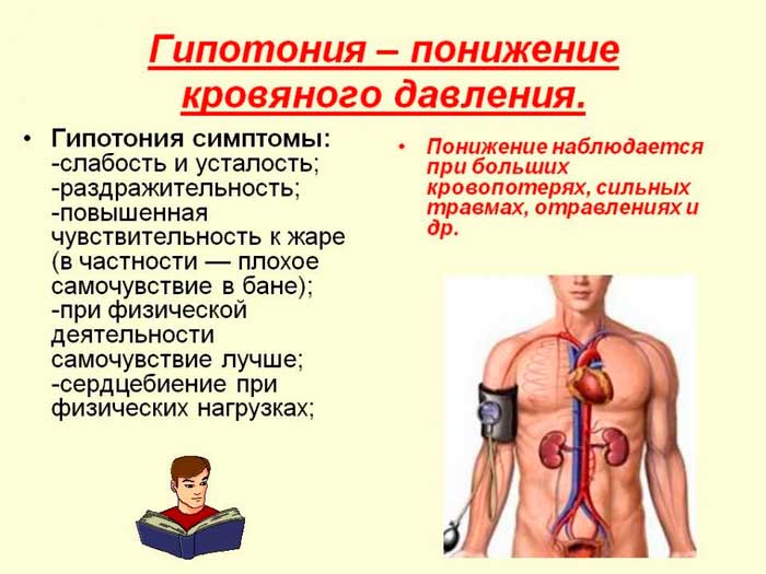 Властивості меліси в чаї - чим корисний ароматний напій