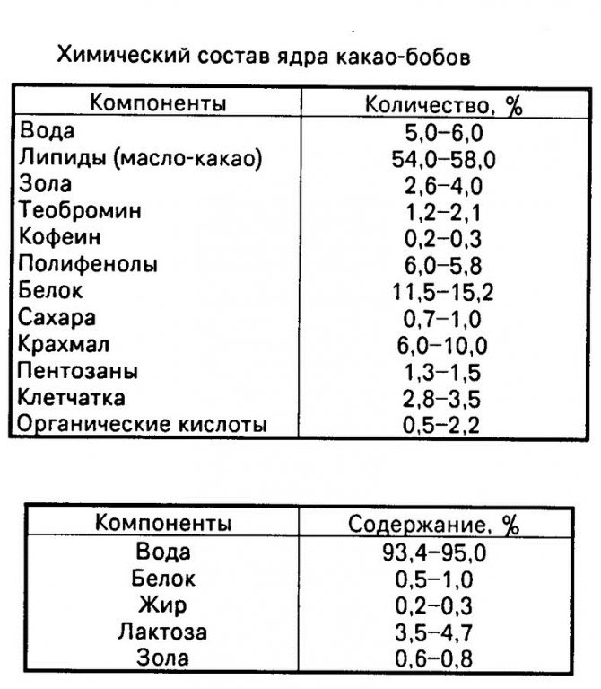 Ароматні какао боби і неймовірні властивості шоколадних зерен, про які ви могли не знати!